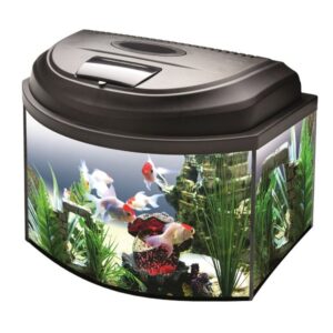 Aquael Classic BOX 40 D&N panoraminis (20L)