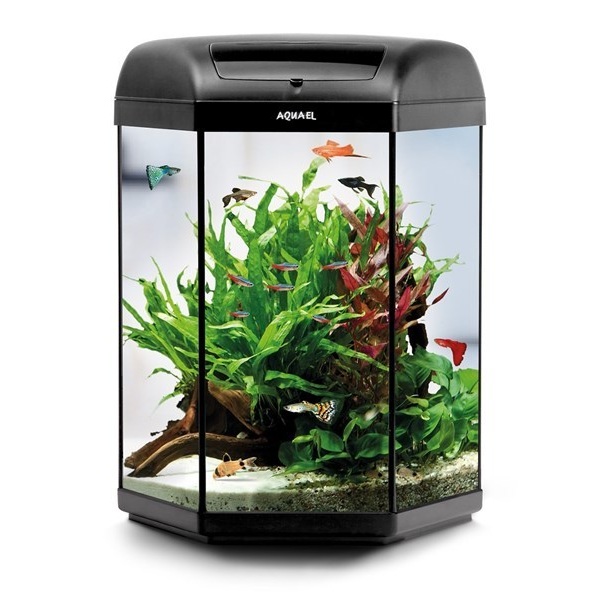 Aquael Hexa Set 60 2.0 D&N