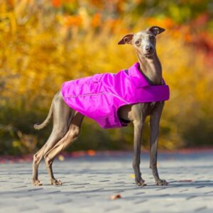 Have a Pet striukė Urban 50cm violetinė