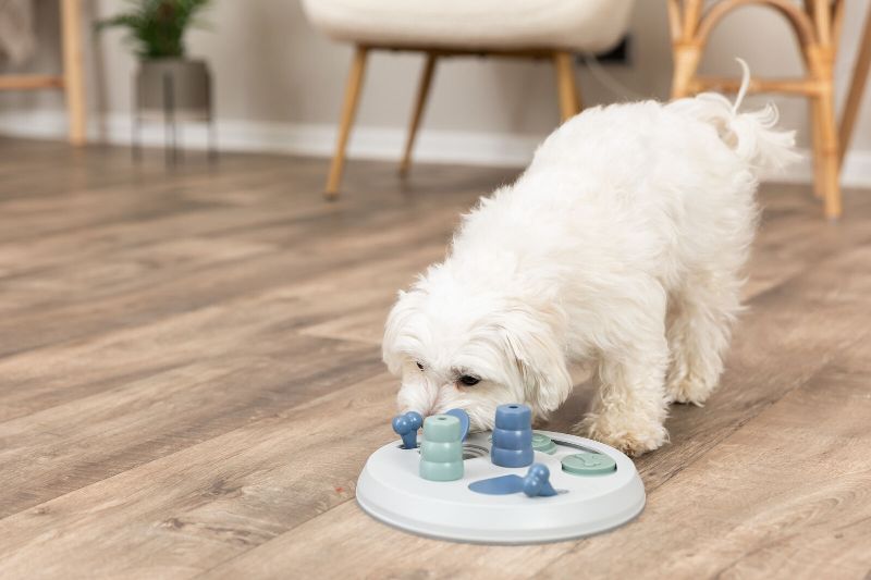 Trixie žaidimas Dog Activity Flip Board - Image 3