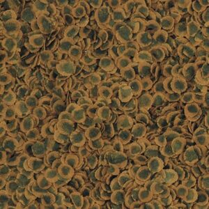 TetraPro Algae crisps (sveriamas)