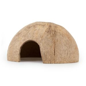 Kokosas pusinis nušveistas