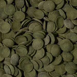 Tropical Green algae wafers 250ml/124,3g +10% - Image 2