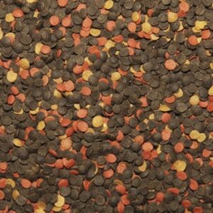 Tropical Malawi chips (sveriamas)