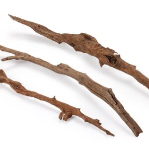 Mangrove šakelės 30-50cm (3vnt) - Image 3