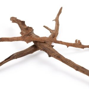 Mangrove šakelės 30-50cm (3vnt) - Image 2