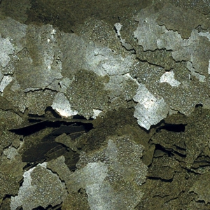 Dajana Spirulina&Chorella flakes (sveriamas)