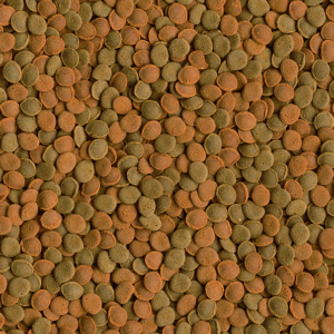 Tetra wafer mix (sveriamas)