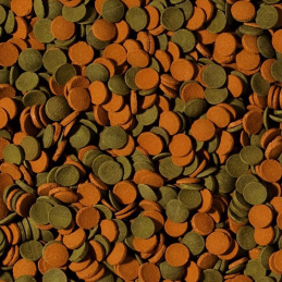 Tropical Mini wafers mix (sveriamas)